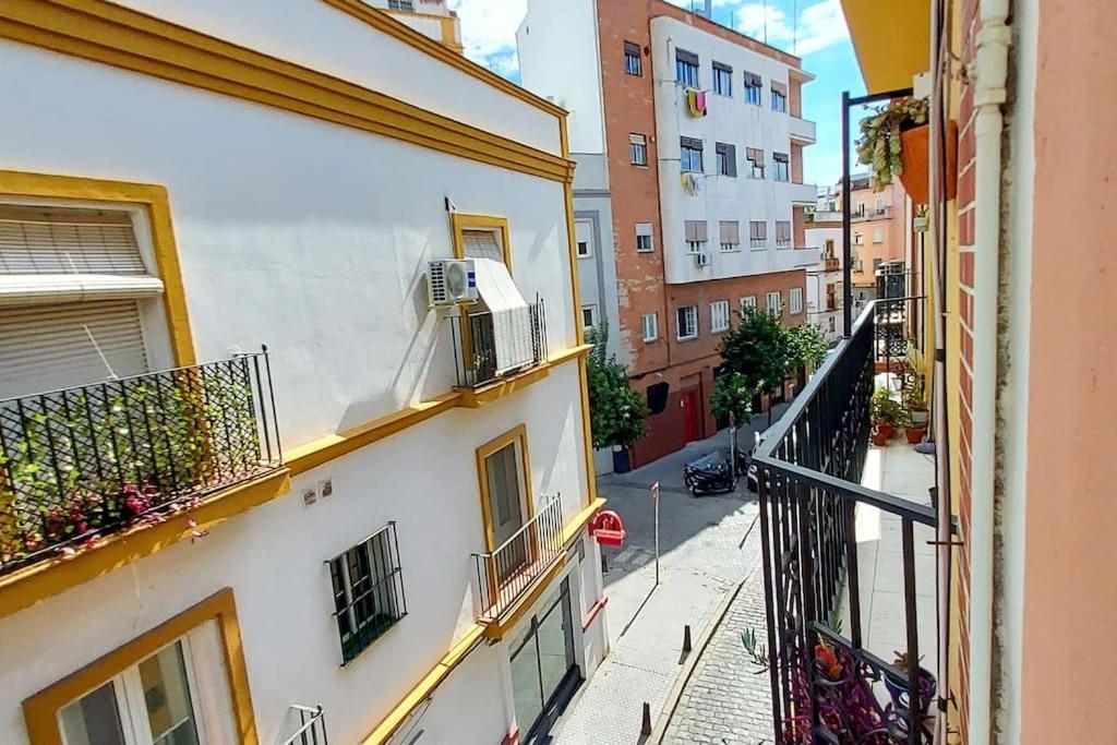 Atico Joaquin Costa 15 Alameda De Hercules Appartement